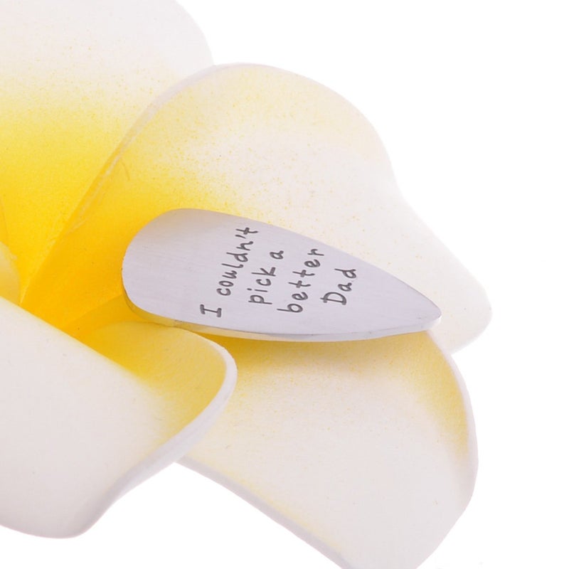 YeeQin I Couldn't Pick a Better Dad Mens Stainless Steel Guitar Pick Gift for Daddy Papa Father - Image 4